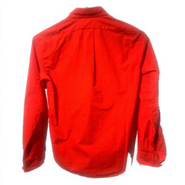 Camicia Kenzo Tiger Crest Uomo 100 Cotone Button-down