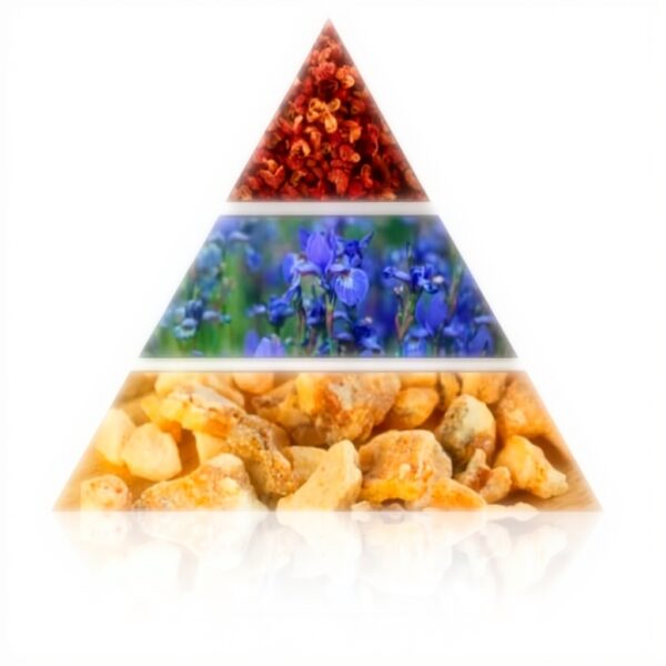 Fiat 500 Profumo Uomo Eau de Toilette Fragranza Legnosa