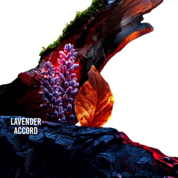 Drakkar Noir Guy Laroche Eau de Toilette Uomo Fougère Spezie