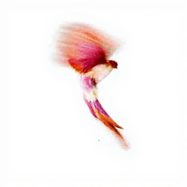 Kenzo Amour Eau de Parfum 100ml profumo donna floreale