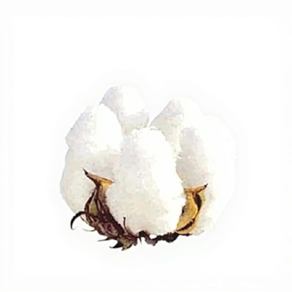 Poster Kenzo Okada Rosso Arancione Tela Decor Parete