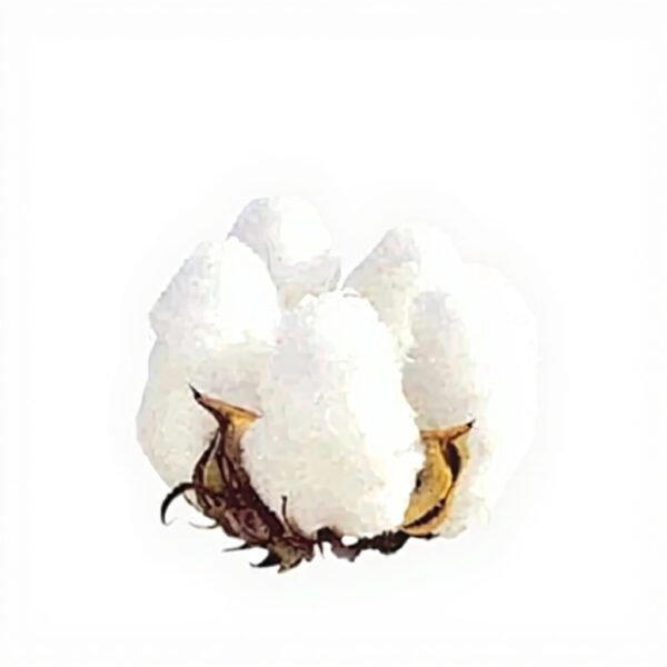 Kenzo Okada Poster su Tela Rosso Arancione Decor Parete