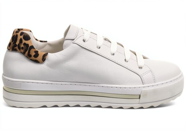 Pavo Monitor Arm Ergonomic Aluminum Desk Mount for-3