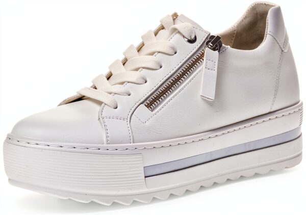 Pavo Monitor Arm Ergonomic Aluminum Desk Mount for