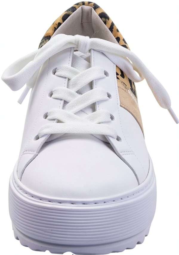 Pavo Monitor Arm Ergonomic Aluminum Desk Mount for-5