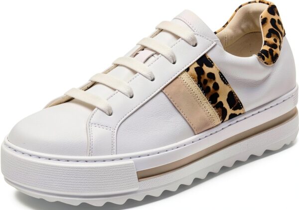 Pavo Monitor Arm Ergonomic Aluminum Desk Mount for-0